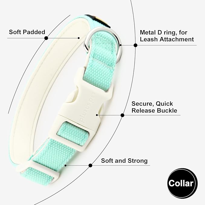 Plutus Pet Cotton Dog Collar, Heavy Duty Collar with Soft Padding, Adjustable and Comfortable for Small Medium and Large Dogs, Light Cyan, XS