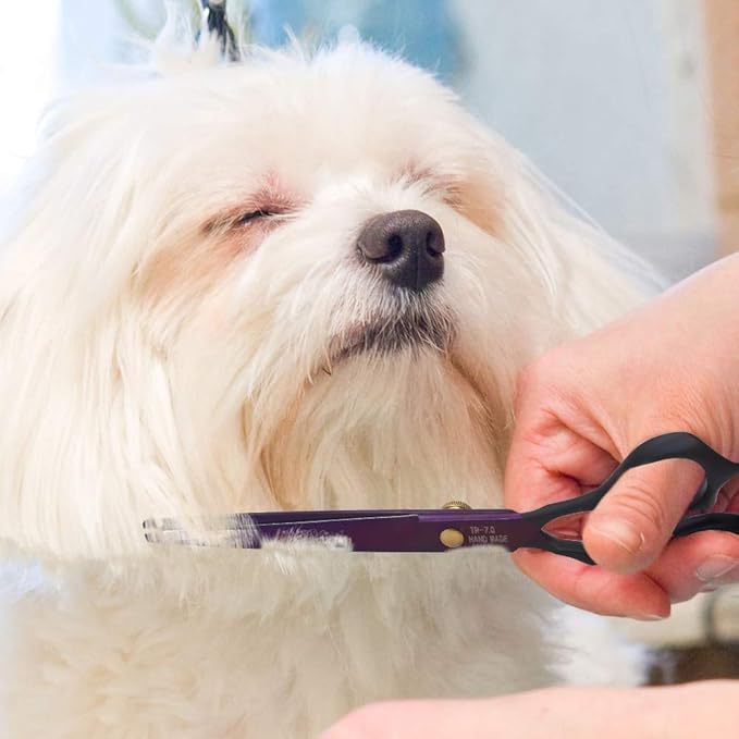 Dream Reach 7.0 inches Professional Decompressed Elastic Handle Pet Grooming Scissors Set,Straight & Chunker & 2 Curved Scissors 4pcs Set for Dog Grooming (Purple) (4PSC Set)