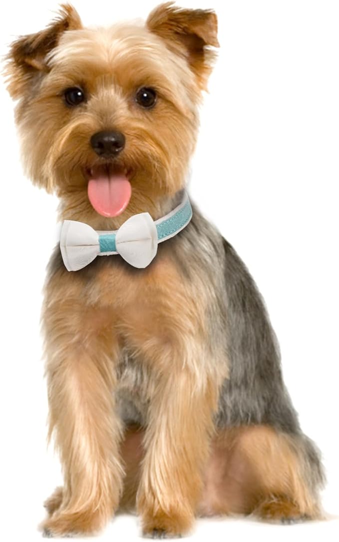 Dog Collar,Metal Buckle Pet Collar Suede Dog Collar Soft&Comfy Adjustable Pet Gift Collars with Bow for Small Medium Large Dogs (Medium, Blue&White)