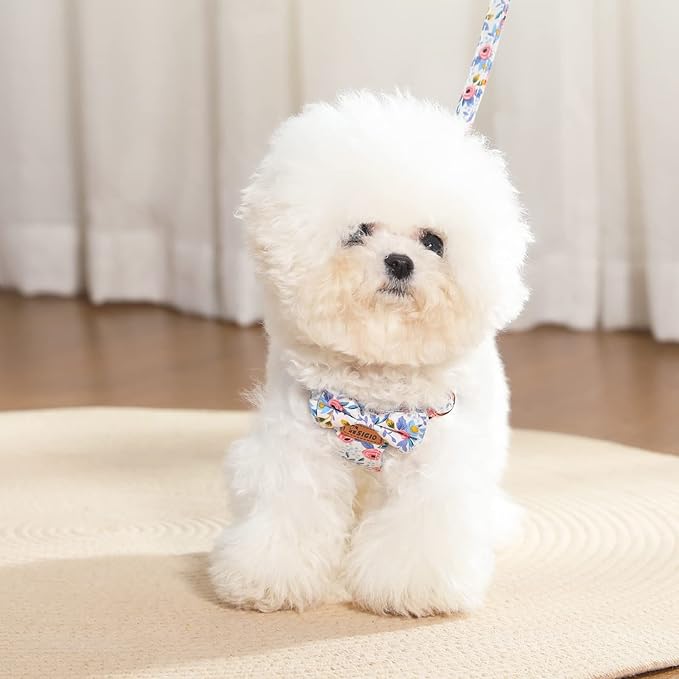 No Pull Small Dog Harness and Leash Set, Soft Adjustable Floral Puppy Dog Harness Vest for Extra Small-Medium Pet Dogs and Cat, Blue Flower, Medium