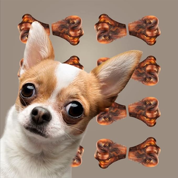 ROAM Pet Treats Le Petite Gnaw-Kle Ostrich Knuckle Small Dog Chew for Small Dogs (Pack of 2)