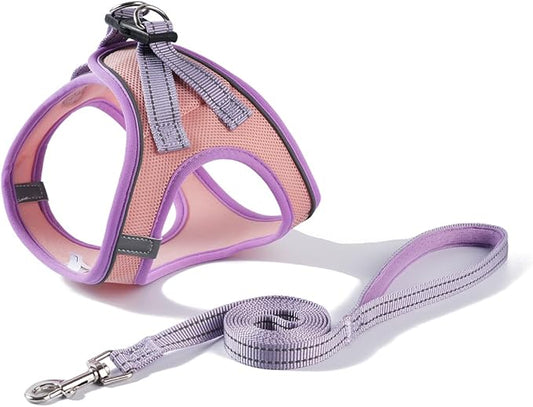 Soft Mesh Dog Harness and Leash Set, No-Chock Step-in Reflective Breathable Lightweight Easy Walk Escape Proof Vest Harnesses with Safety Buckle for Small Medium Dogs, Cats (Purple, XLarge)
