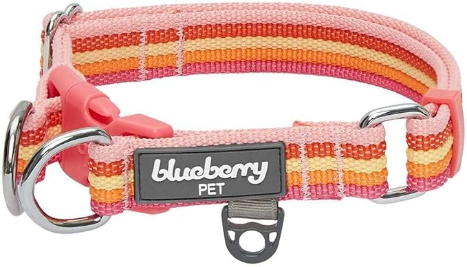 Blueberry Pet 3M Reflective Dog Collars | Adjustable Dog Collar w/Multi-Colored Stripe - Warm Tone Rainbow Color | Nylon Pet Collars for Dogs & Refflective Dog Collar for Small Dogs