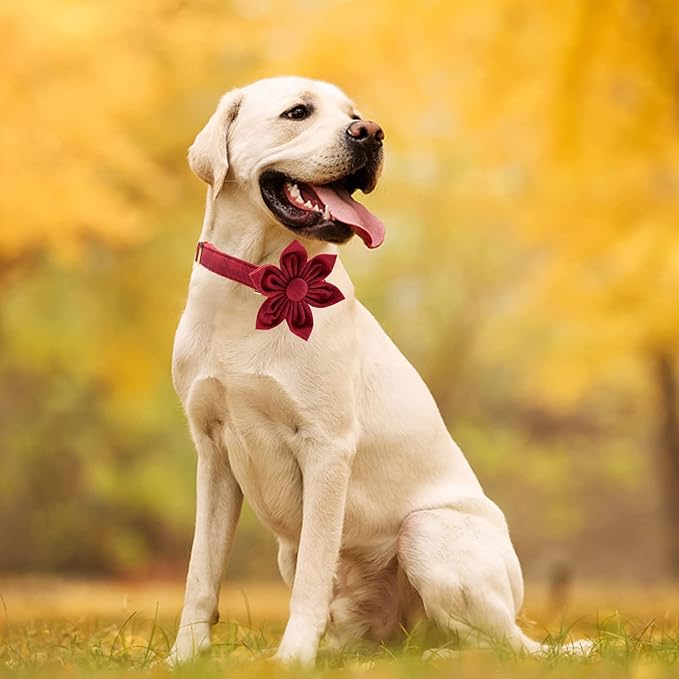 Christmas Dog Collar, Dog Collar with Flower, Adjustable Flower Dog Collars, Boy Girl Dog Collars for Small Medium Large Dogs