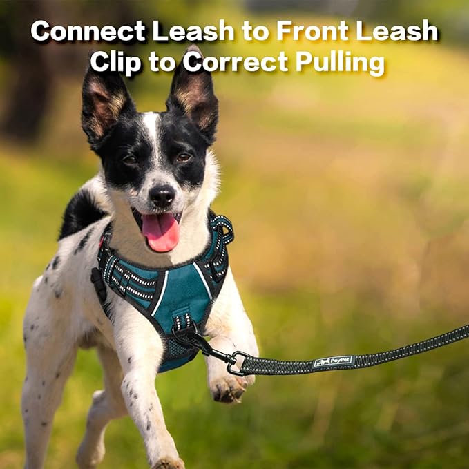 PoyPet No Pull Dog Harness, No Choke Front Clip Reflective Dog Vest with Soft Padded Vertical Handle, 3 Leash Attachments for Small Medium Large Dogs (Tumalo Teal,L)