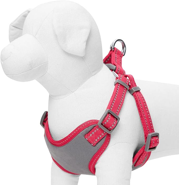 Blueberry Pet Essentials Pastel Color Reflective Dog Harness Vest, Chest Girth 17.5" - 21", Very Berry, Small, Adjustable Harnesses for Dogs