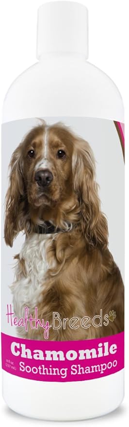 Healthy Breeds English Cocker Spaniel Chamomile Soothing Dog Shampoo 8 oz
