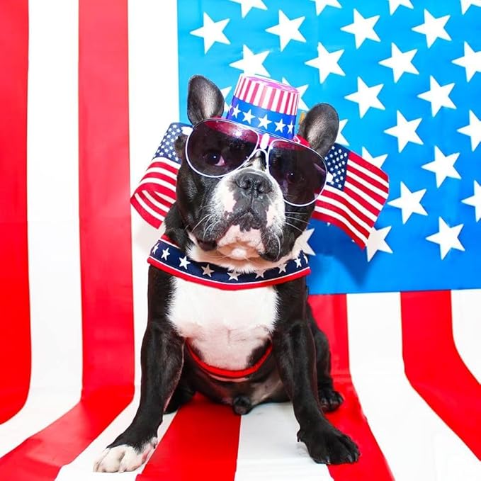 ComfortFlex Sport Harness - American Made No Pull Patriotic Dog Harness for Small, Medium, Large Dogs - Lightweight, Padded, No Rub Harness for Walking, Running and Control - Small/Medium, The Patriot