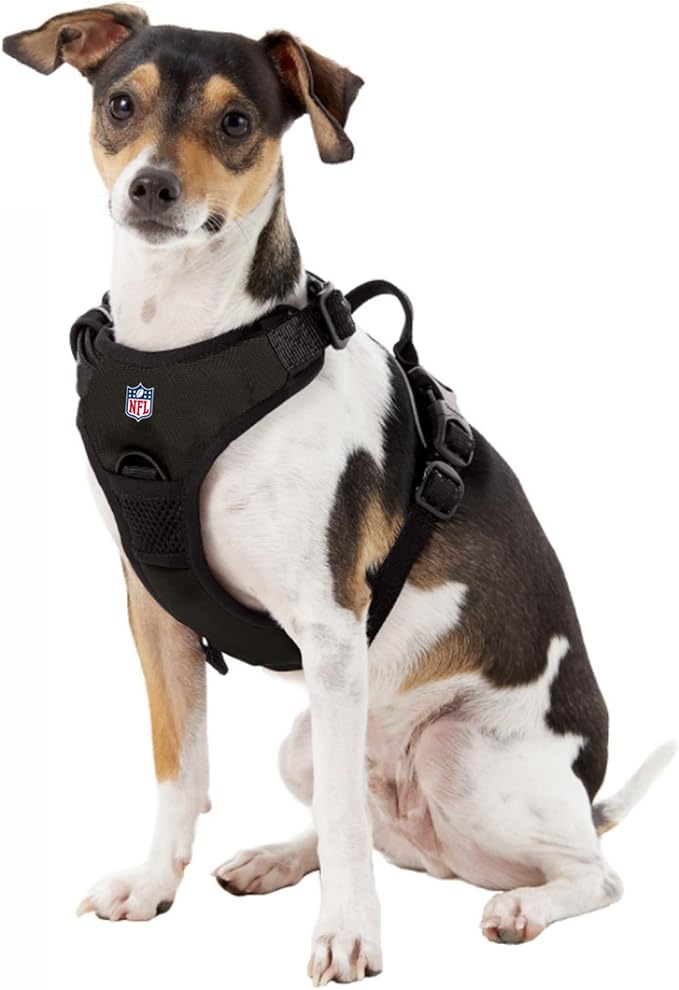 Littlearth Las Vegas Raiders NFL Front Clip Pet Harness