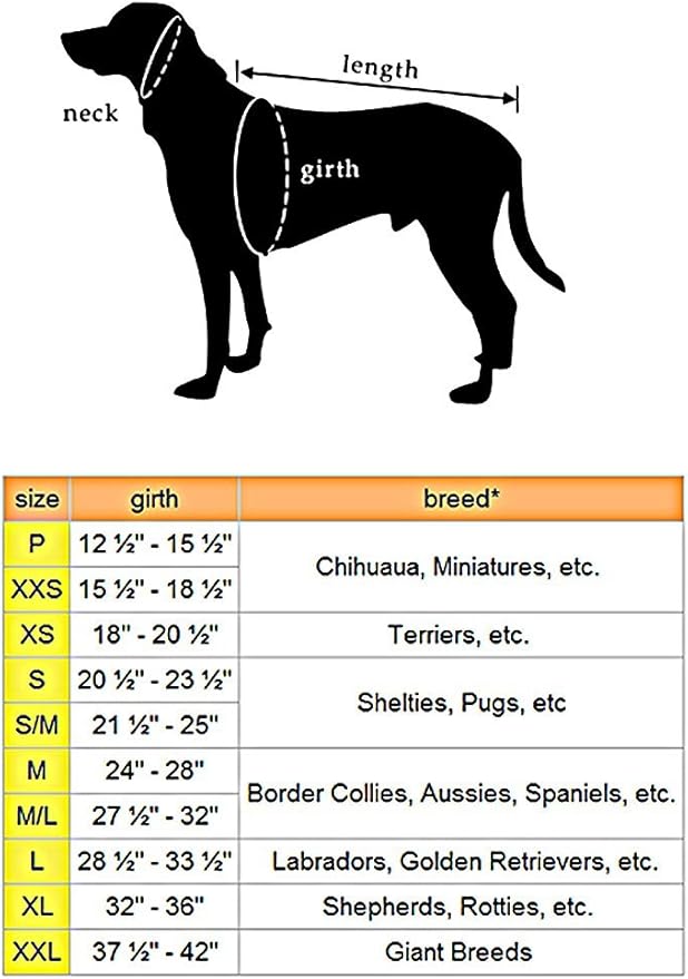 ComfortFlex Sport Harness - American Made No Pull Teacup Dog Harness - Lightweight, Padded, Reflective No Rub Harness for Walking, Running and Control - Petite, Berry