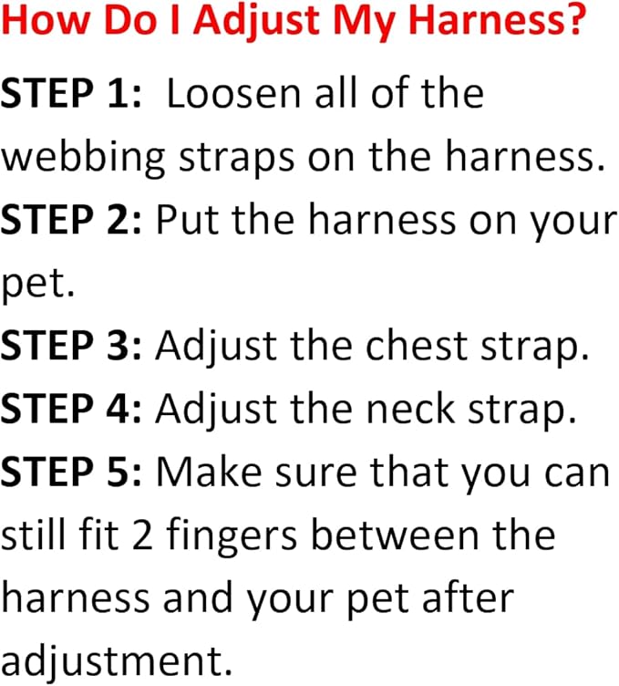 Voyager Step-in Lock Adjustable Cat Harness w. Cat Leash Combo Set with Neoprene Handle 5ft - Supports Small, Medium and Large Breed Cats by Best Pet Supplies - Turquoise/Black Trim, XXXS