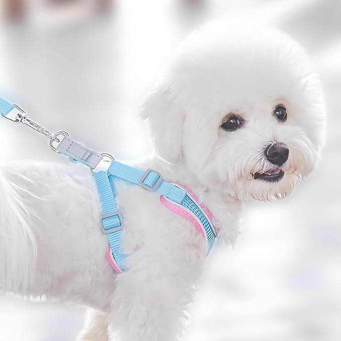 Dog Harness with Leash Set, No Pull Adjustable Reflective Step-in Puppy Harness with Thickened Padded Vest for Extra-Small/Small Medium Large Dogs and Cats (Grey, L)