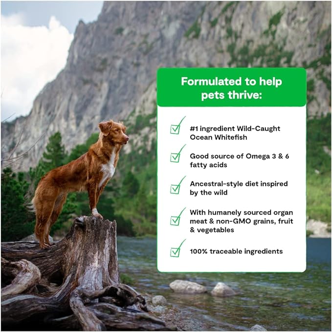 Open Farm RawMix Ancient Grains Wild-Ocean Recipe for Dogs, Includes Kibble, Bone Broth, and Freeze Dried Raw, Inspired by The Wild, Humanely Raised Protein and Non-GMO Fruits and Veggies, 20 lb