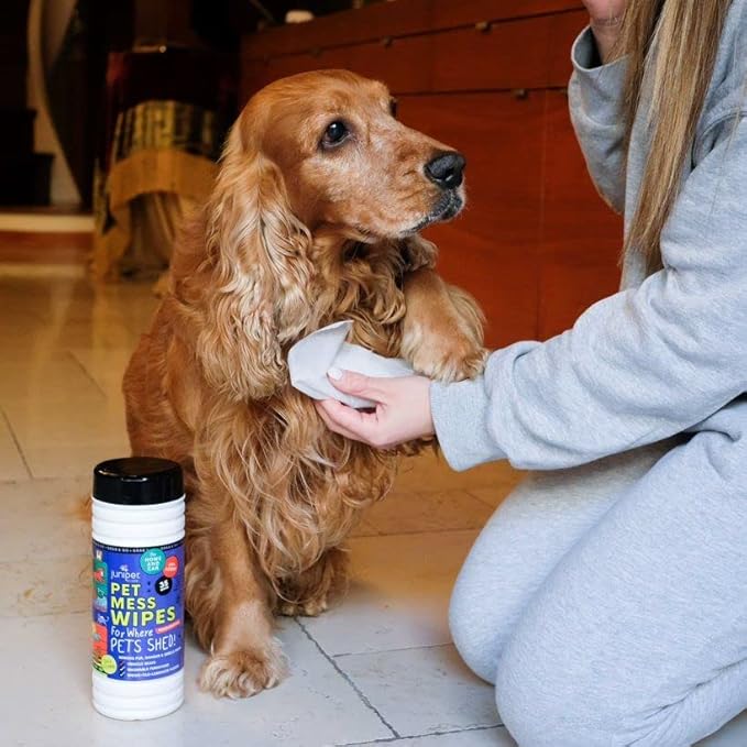 Pet Mess Wipes for Pets Cleansing, Wipes for Dogs and Puppies–Remove Fur, Dander, Smells from Vehicle Seats, Washable Furniture, Wood, Tile, and Laminate Floors 50 Count (Pack of 4)