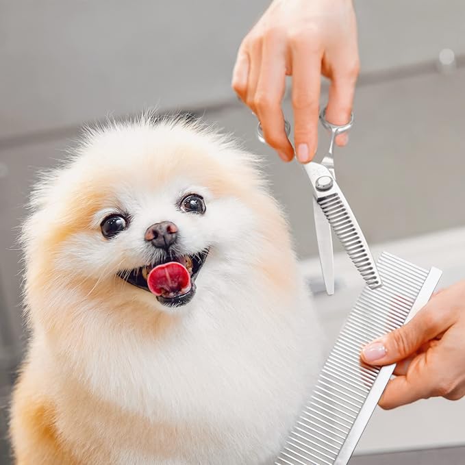 High-end Professional Dog Grooming Thinning Scissors Teeth Blending Shears Pet Texturizing Thinner Blender Shears 7 Inch Extremely Sharp Stainless Steel Alloy For Cat Horse And Other Animals