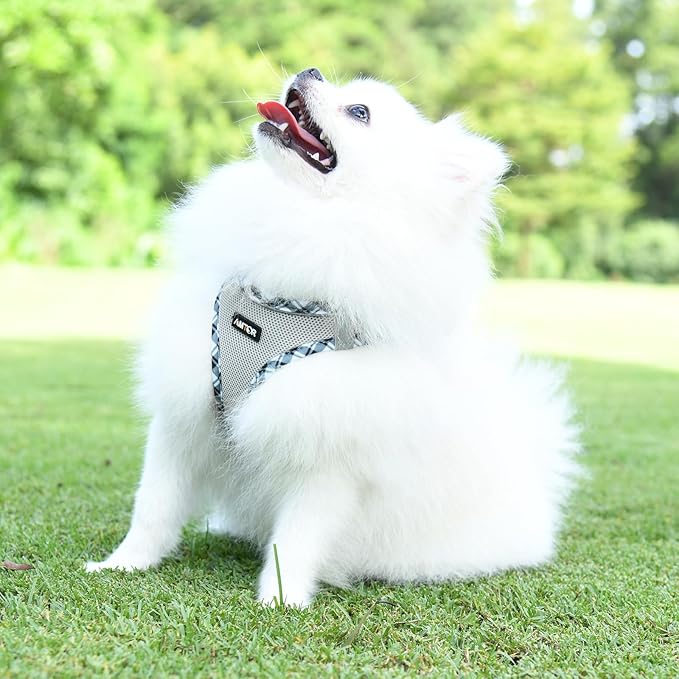 AMTOR Small Dog Harness with Leash Set, No Escape Easy Walk Puppy Harnesses for Training Walking, Step-in Reflective Soft Dogs Vest for XS S Medium Extra-Small Large Sized Dog(Grey)