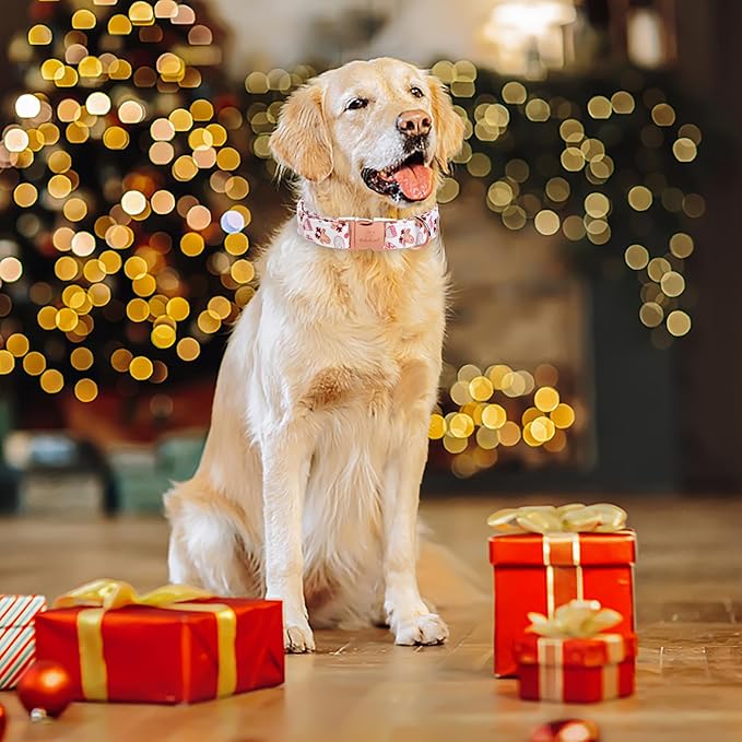 Christmas Dog Collar for Large Dog,White Pink Claus Elk Santa Male Dog Collar with Safety Metal Buckle Adjustable Puppy Collars for Small Medium Boy Dog,L, Neck 16"-24"