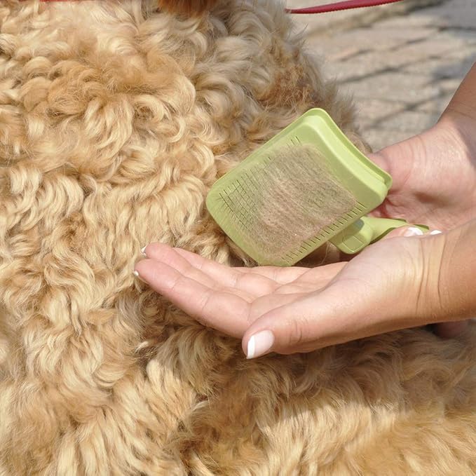 Coastal Pet Safari Dog Self-Cleaning Slicker Brush - Dog Deshedding Brush - Prevents Mats and Tangled Hair - For Dogs with Short or Long Hair - Large - 8" x 4.5"