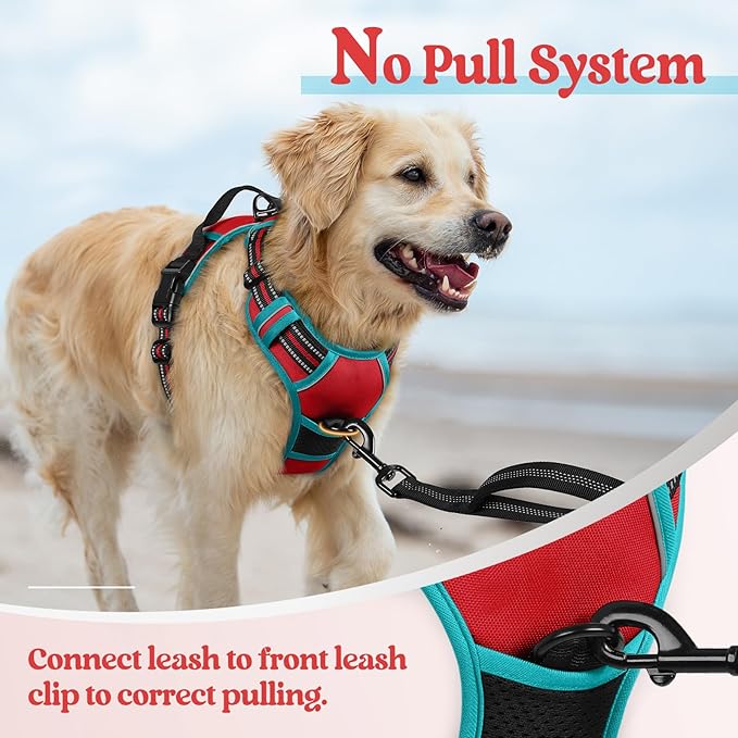rabbitgoo Dog Harness, No-Pull Pet Harness with 2 Leash Clips, Adjustable Soft Padded Dog Vest, Reflective No-Choke Pet Oxford Vest with Easy Control Handle for Large Dogs, Red & Teal, L