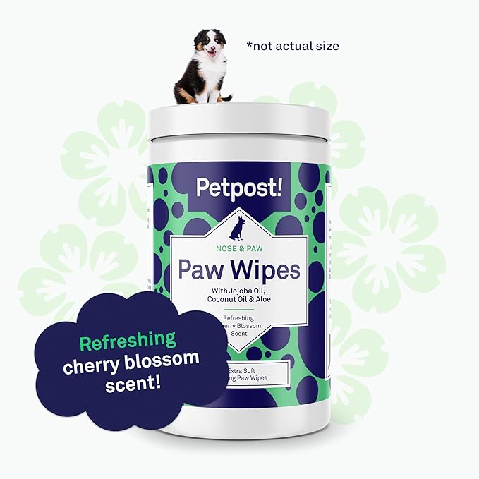 Petpost | Paw Wipes for Dogs - Nourishing, Revitalizing Dog Paw Cleaner with Coconut Oil, Jojoba Oil, and Aloe - Ultra Soft Cotton Pads - Cherry Blossom Scent 70 ct.
