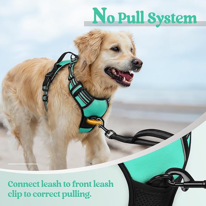 rabbitgoo Dog Harness, No-Pull Pet Harness with 2 Leash Clips, Adjustable Soft Padded Dog Vest, Reflective No-Choke Pet Oxford Vest with Easy Control Handle for Medium Dogs, Turquoise, M