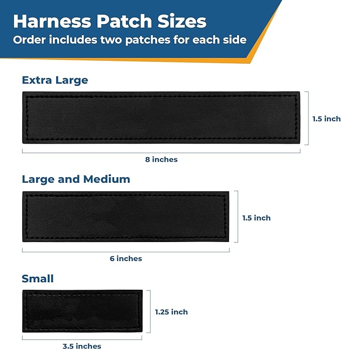 GoTags No-Pull Dog Harness with Custom Name and Phone Number, Personalized for Large, Medium and Small Dogs, Service Vest No Tugging, Pulling, or Choking for Training (Black, XL)