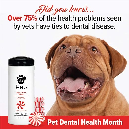 John Paul Pet Tooth & Gum Pet Wipes for Dogs and Cats, 2-in-1, Infused with Peppermint Oil, Safely Cleans Plaque, 45 Count