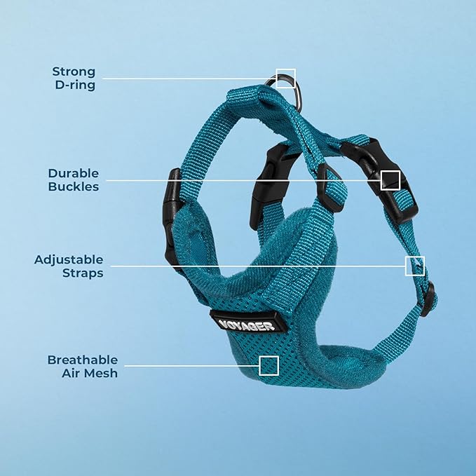 Voyager Step-in Lock Pet Harness - All Weather Mesh, Adjustable Step in Harness for Cats and Dogs by Best Pet Supplies - Turquoise, S