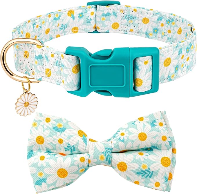 Fashionable Dog Collar with Bow Tie for Small Medium Large Dogs,Cute and Soft Puppy Collar for Male Female Dogs, Durable Cotton Dog Collar with Adjustable Buckle Butterfly Pattern (Medium, Cyan Daisy)