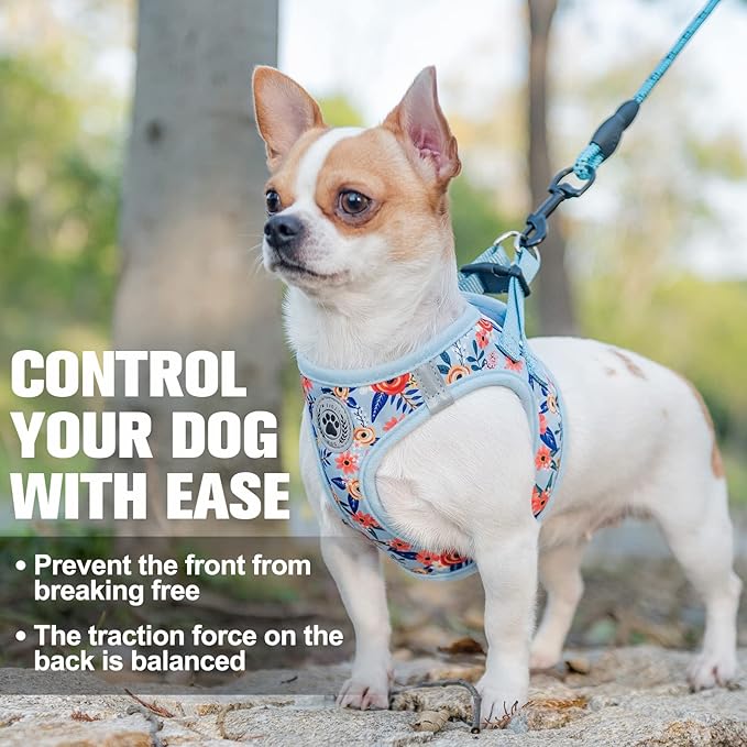 BEAUTYZOO Step in Dog Harness and Leash Set, Floral Pattern Reflective Dog Harness No Pull No Choke Puppy Harness for XXS XS S Dogs Cats, Soft Padded Mesh Vest Harnesses for Girl and Boy Pets