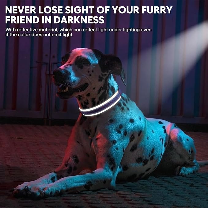 Light Up Dog Collars for Small Dogs, USB Rechargeable Flashing Dog Collar, Led Dog Collar with Reflective Edging - Glow in The Dark Lighted Collar - Dog Glow Collar for Night Walking - Pink, S