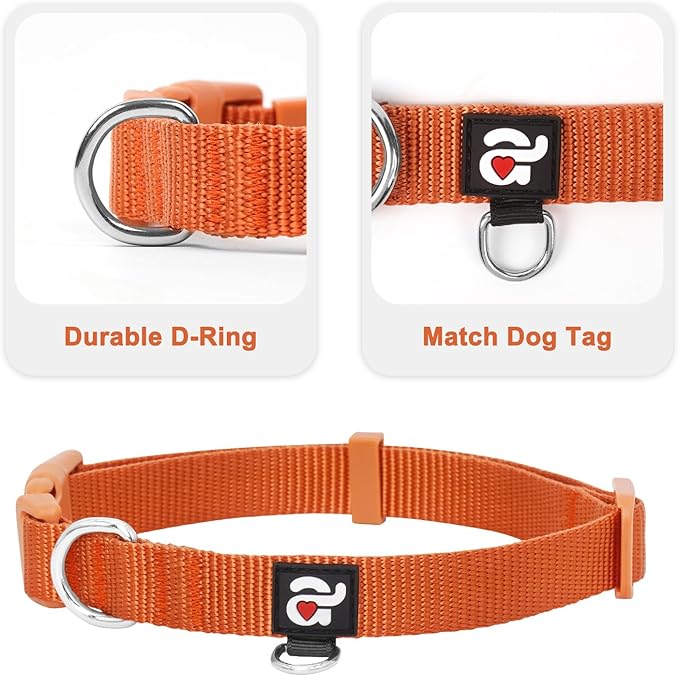 azuza 3 Pack Fall Dog Collars Comfortable and Adjustable Nylon Dog Collars for Puppy Small Dogs, XS (8-12inch)，Ginger Yellow, Rust Orange and Latte Brown