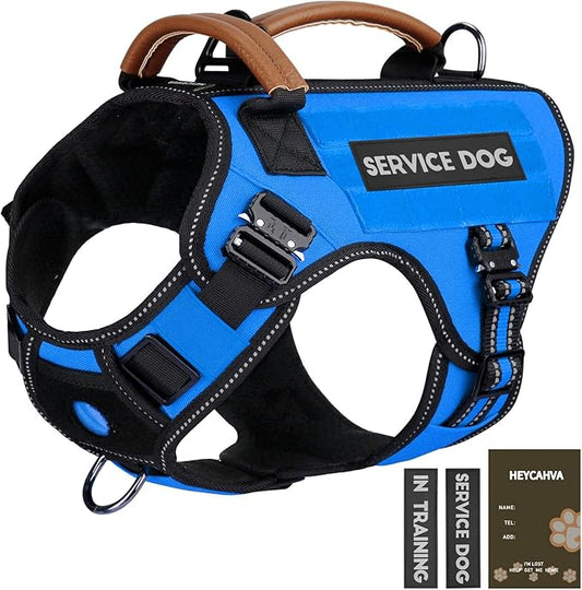 Service Dog Vest - HEYCAHVA Tactical Dog Harness Full Metal Buckles Dog Vest for Large Medium Dog Reflective No Pull Dog Harnesses with Leather Handle, Hook & Loop for Hiking Training (Blue, XL)