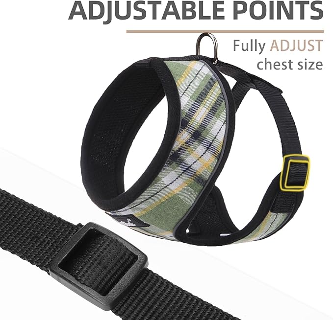 PUPTECK Soft Mesh Dog Harness and Leash Set Pet Puppy Cat Comfort Padded Vest No Pull Harnesses, Green/Yellow, XS