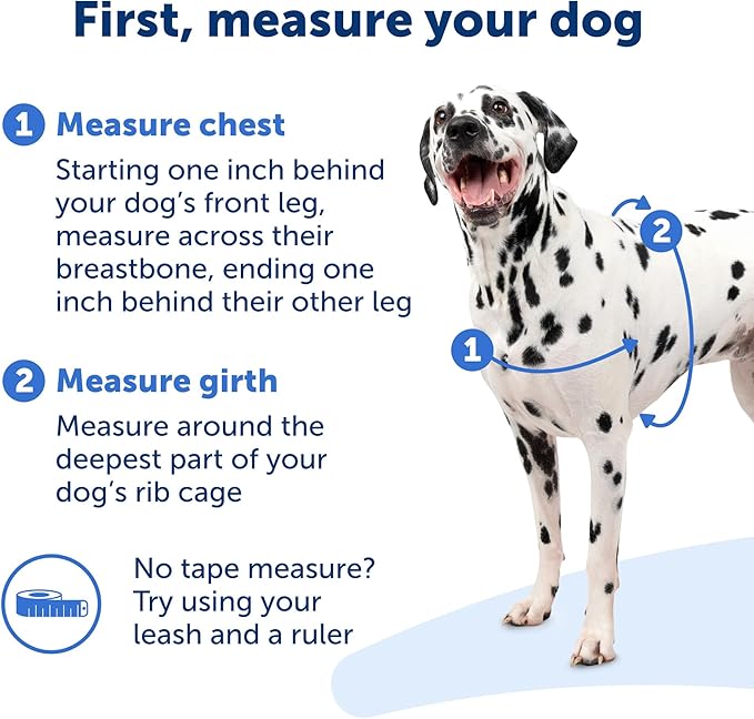 PetSafe Easy Walk No-Pull Dog Harness - The Ultimate Harness to Help Stop Pulling - Take Control & Teach Better Leash Manners - Helps Prevent Pets Pulling on Walks, Medium, Royal Blue/Navy Blue