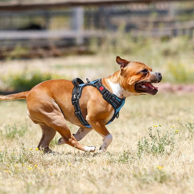PoyPet No Pull Dog Harness, No Choke Front Clip Dog Reflective Harness, Adjustable Soft Padded Pet Vest with Easy Control Handle for Small to Large Dogs(Blue,M)