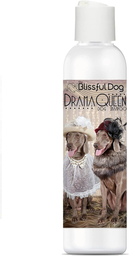 The Blissful Dog Weimaraner Drama Queen Dog Shampoo, 4 oz.