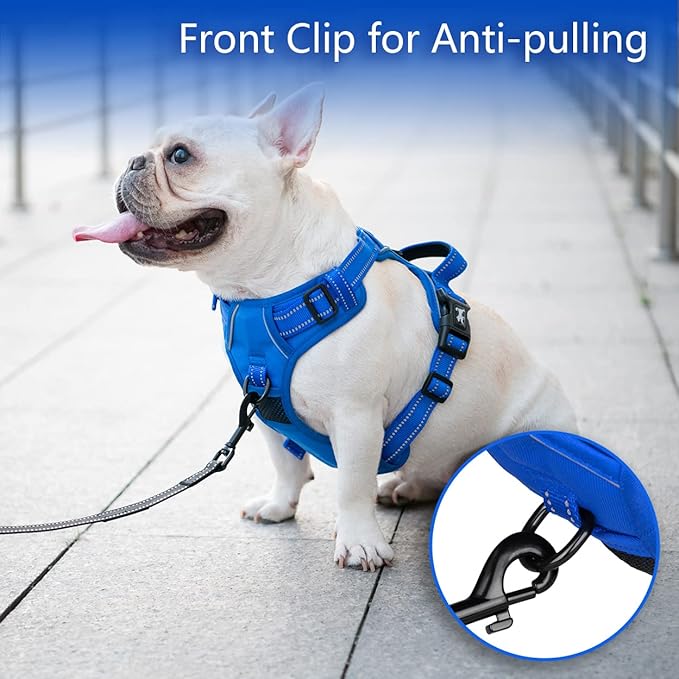 PoyPet No Pull Dog Harness, No Choke Reflective Dog Vest, Adjustable Pet Harnesses with Easy Control Padded Handle for Small Medium Large Dogs(Royal Blue,S)