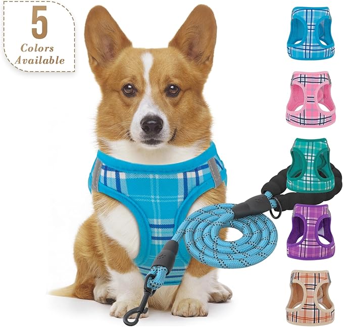 Athena Collection Step-in Dog Harness with 5 ft Leash, Small to Medium Dog Harness Leash Set Medium No Pull Dog Vest Harness with Reflective Strips Adjustable Velcro, Easy Walk Puppy Harness, Blue