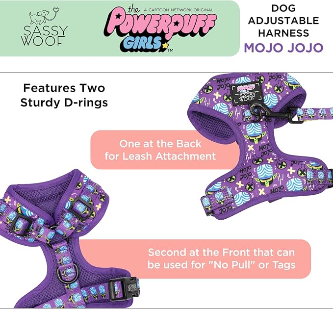 Dog Adjustable Harness - Mojo JoJo™ - S, Breathable Mesh, No Pull Design with Two D-Rings, Perfect for Small Dogs and Puppies