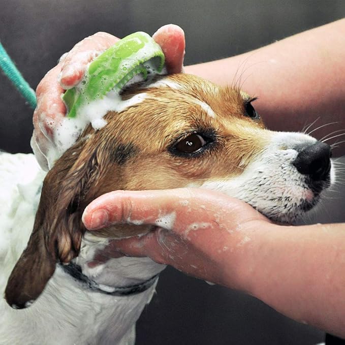 Coastal Pet Safari Comfort Grip Curry Brush for Dogs - Dog Bath and Shampoo Brush and Massager for Indoor & Outdoor Dogs with Short Hair - One Size