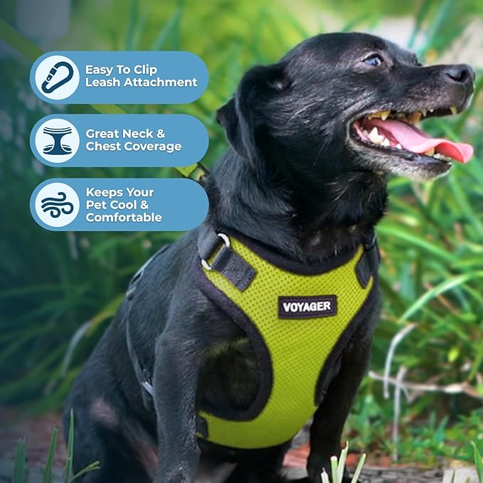 Voyager Step-in Lock Pet Harness - All Weather Mesh, Adjustable Step in Harness for Cats and Dogs by Best Pet Supplies - Lime Green/Black Trim, L