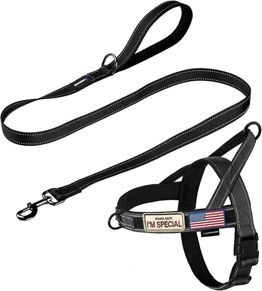 Annchwool No Pull Dog Harness with Padded Handle+5 Ft Leash,Reflective Strip Escape Proof and Quick Fit to Adjust Dog Harness,Easy for Training Walking for Small & Medium and Large Dog(Black-Set,M)
