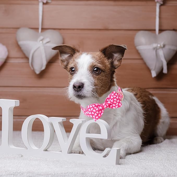 ARING PET Valentine's Day Dog Collar-Cotton Pink Heart Dog Collar with Bow, Adjustable Valentine Bowtie Dog Collars Pet Necklace with Metal Buckle for Girl&Boy Dogs