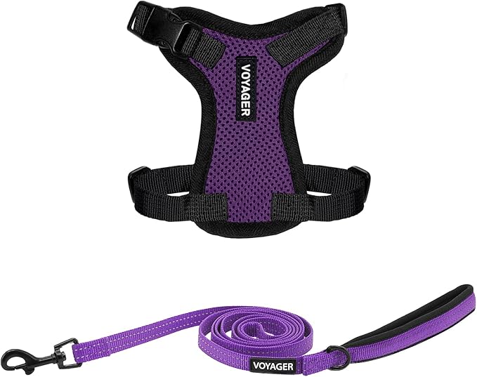 Voyager Step-in Lock Adjustable Cat Harness w. Cat Leash Combo Set with Neoprene Handle 5ft - Supports Small, Medium and Large Breed Cats by Best Pet Supplies - Purple/Black Trim, XXS