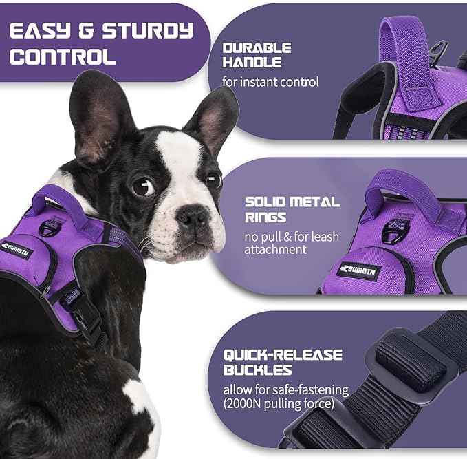 BUMBIN Dog Harness for Large Dogs, No Pull Adjustable No Choke Pet Vest with Dog Leash Fit Smart Reflective Pet Walking Harness for Training Easy Control Soft Handle Purple XL