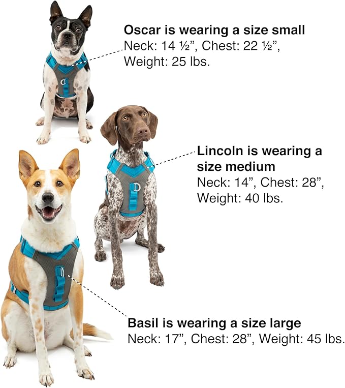 Kurgo Journey Air Dog Harness, Vest Harnesses for Dogs, Pet Hiking Harness for Running & Walking, Reflective, Padded, Includes Control Handle, No Pull Front Clip (Blue, Medium)