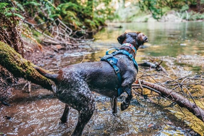 Kurgo Journey Air Dog Harness, Vest Harnesses for Dogs, Pet Hiking Harness for Running & Walking, Reflective, Padded, Includes Control Handle, No Pull Front Clip (Blue, X-Large)