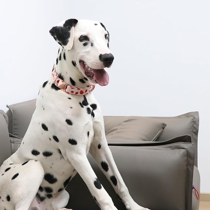 Lionet Paws Dog Collar, Comfortable Adjustable Cute Collar with Metal Buckle for Male Female Dogs Gift, Strawberry Pattern, Small, Neck 10-16 inches