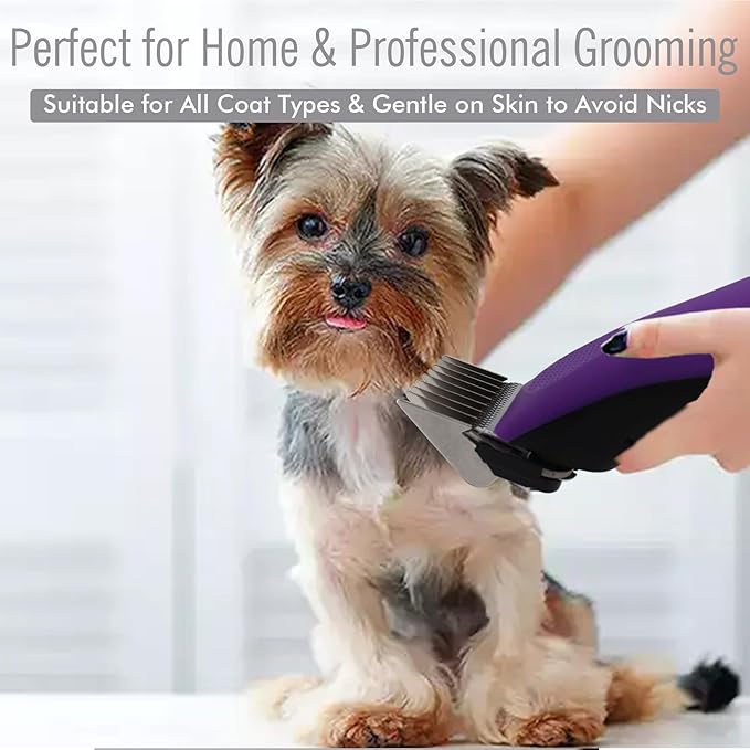 Professional A5 Style Animal Clipper Stainless Steel Color-Coded Snap-on Attachment Guard Guide Comb, 1/8"-1" Compatible with Wahl KM Series Oster A5 Andis Detachable Blade Pet Groomers (#6 - 3/4")